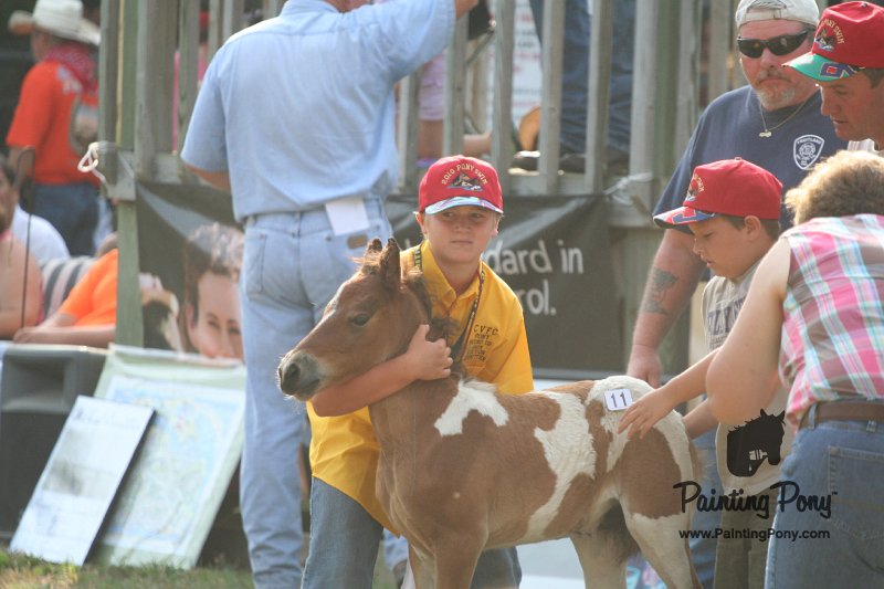 ponypenning_072810_349.JPG