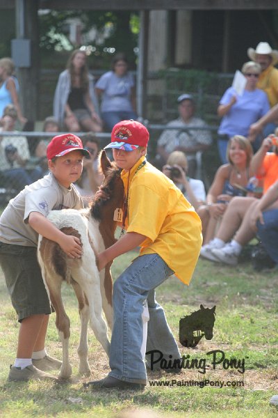 ponypenning_072810_353.JPG