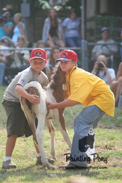ponypenning_072810_354.JPG
