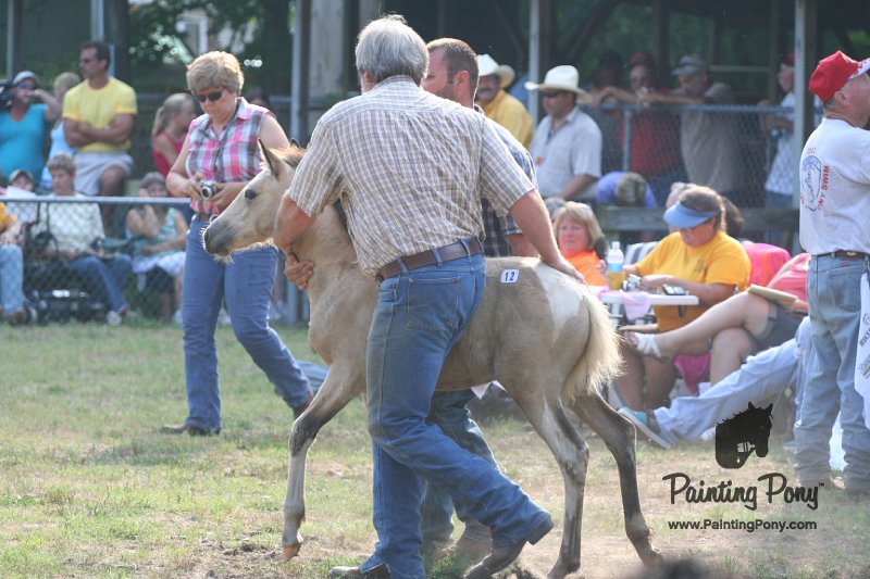 ponypenning_072810_355.JPG