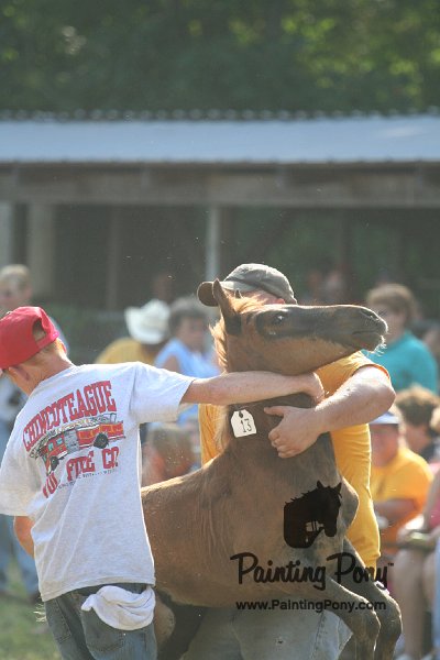 ponypenning_072810_363.JPG