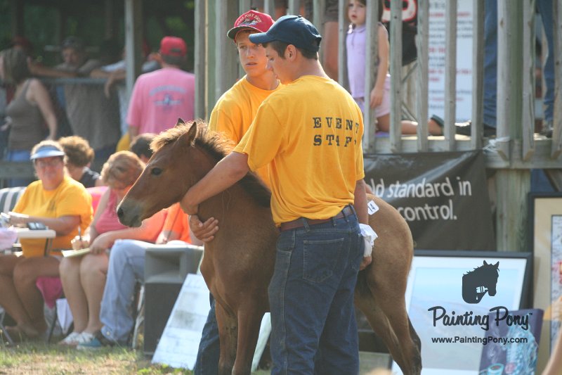ponypenning_072810_365.JPG