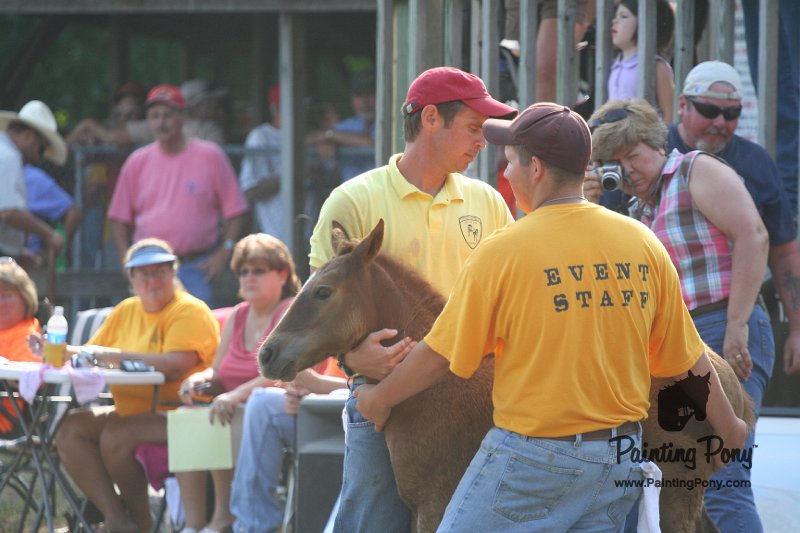 ponypenning_072810_369.JPG