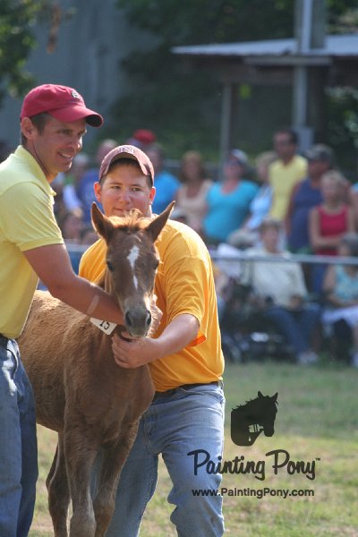 ponypenning_072810_370.JPG