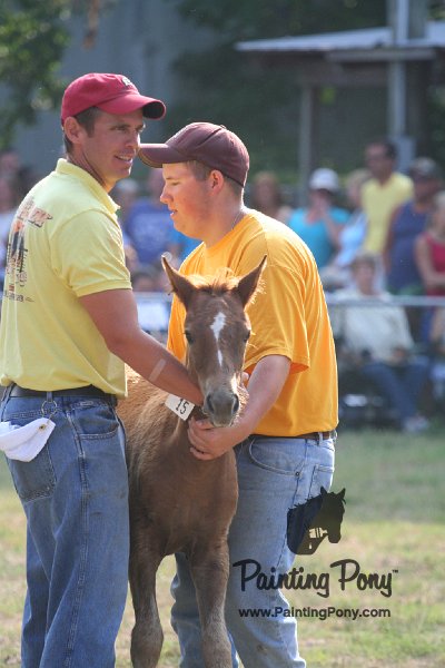 ponypenning_072810_371.JPG