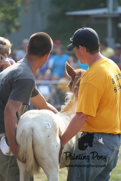 ponypenning_072810_372.JPG