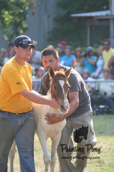 ponypenning_072810_375.JPG