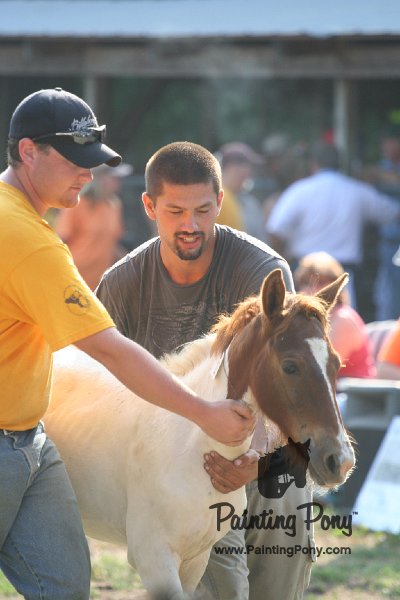 ponypenning_072810_376.JPG