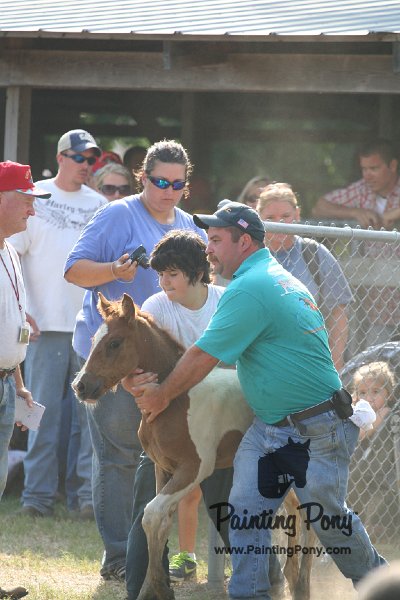 ponypenning_072810_379.JPG