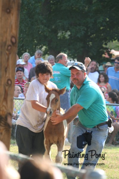 ponypenning_072810_381.JPG