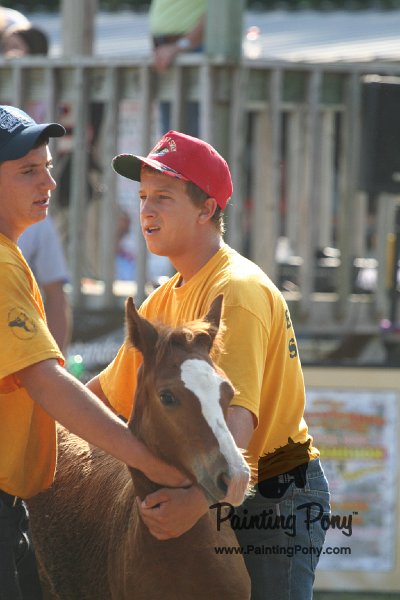 ponypenning_072810_385.JPG