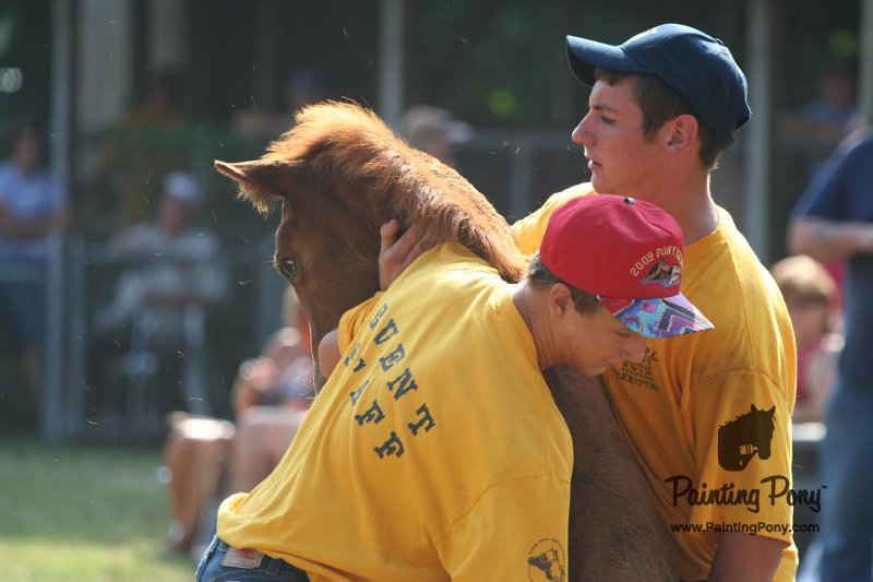 ponypenning_072810_387.JPG