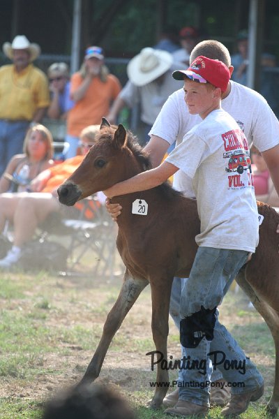 ponypenning_072810_388.JPG