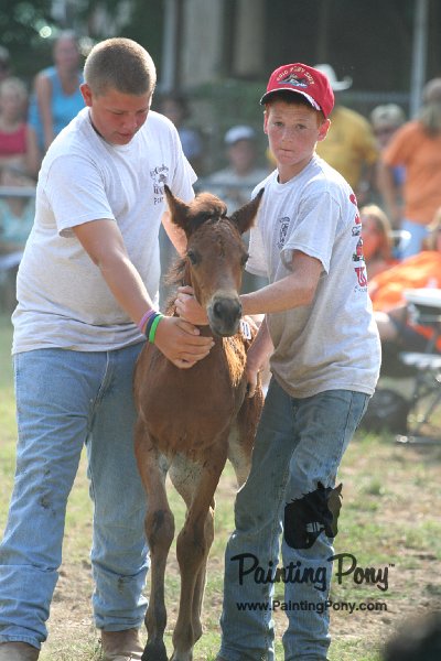 ponypenning_072810_389.JPG