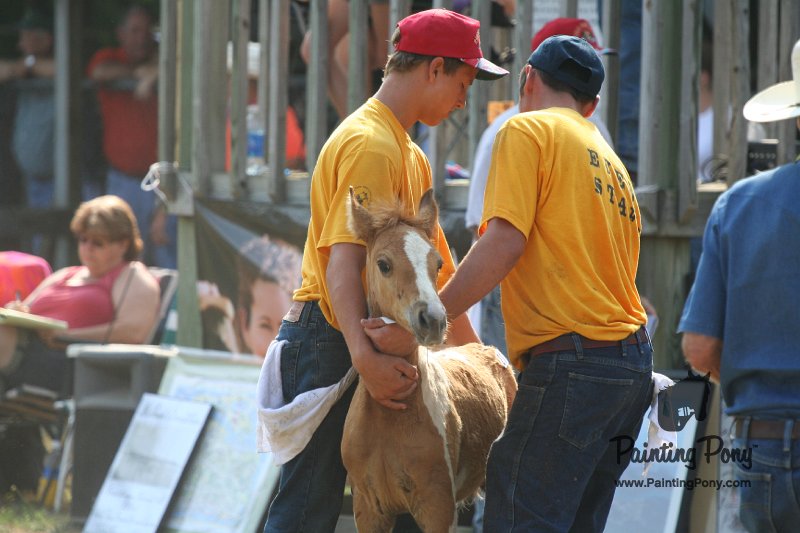 ponypenning_072810_390.JPG