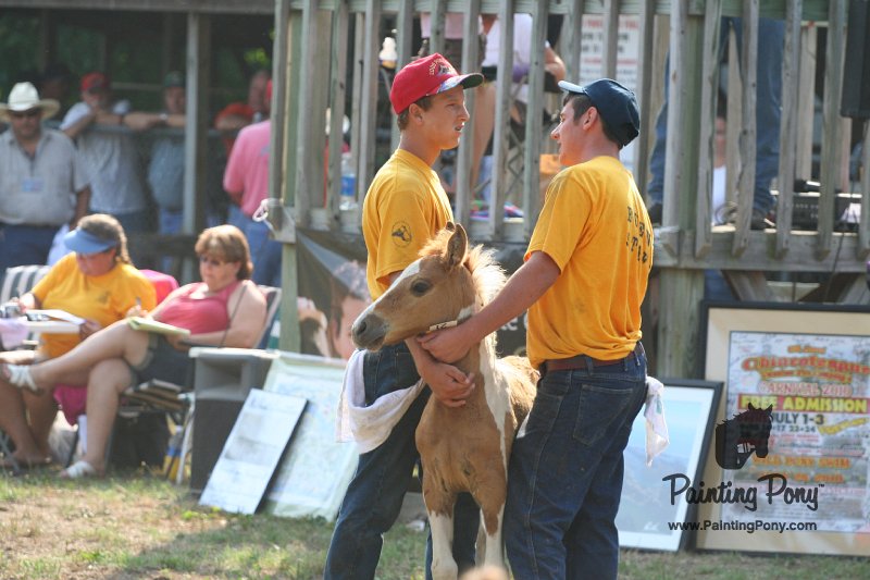 ponypenning_072810_391.JPG