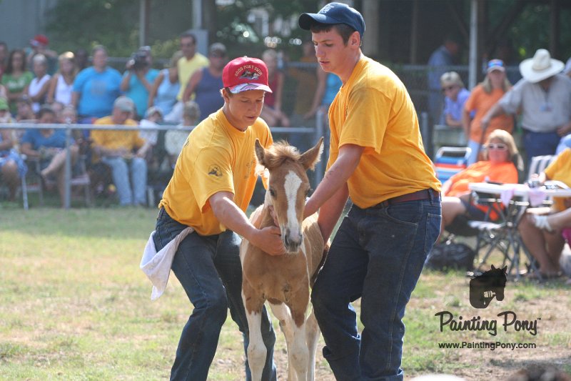 ponypenning_072810_393.JPG