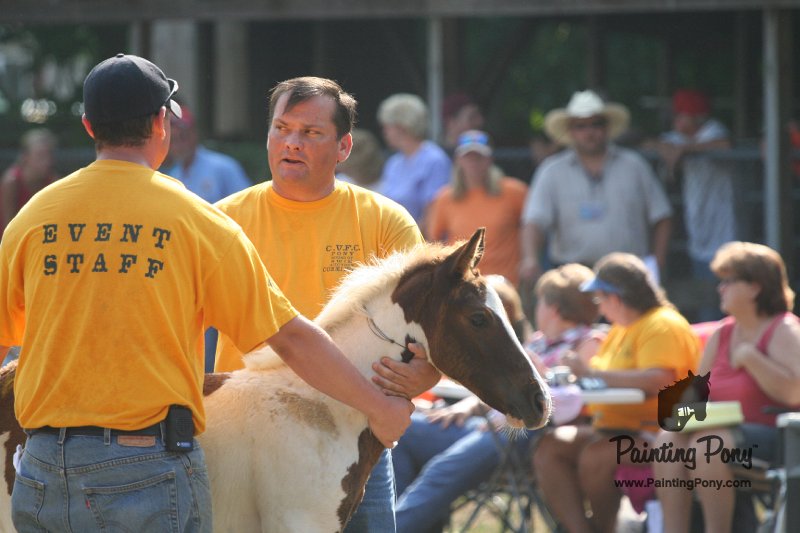 ponypenning_072810_397.JPG