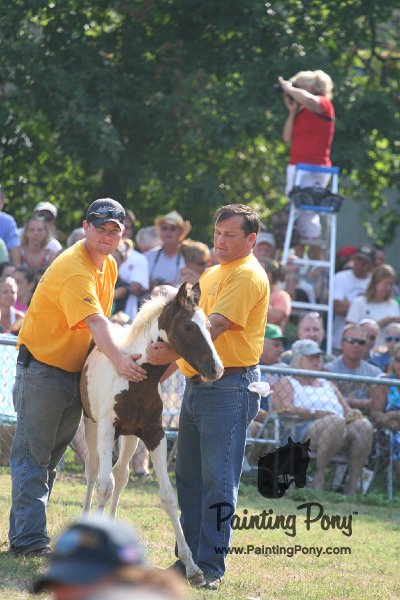 ponypenning_072810_398.JPG