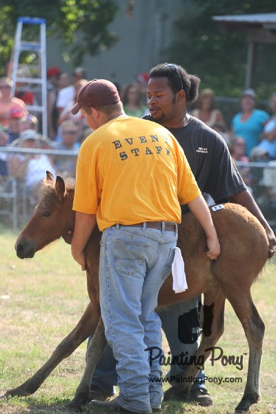 ponypenning_072810_400.JPG