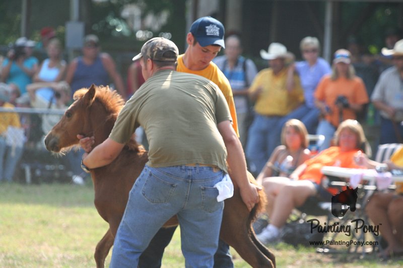 ponypenning_072810_402.JPG