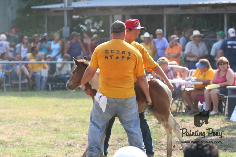 ponypenning_072810_403.JPG