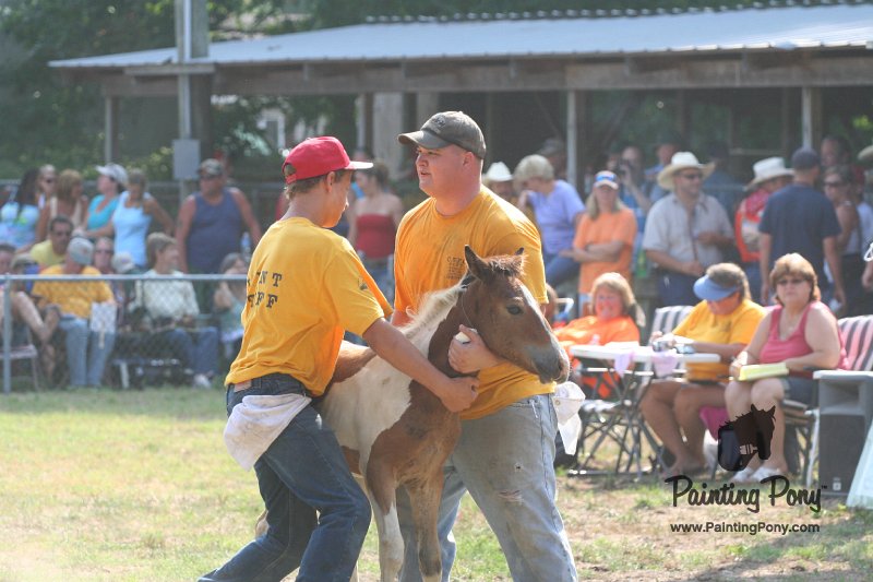 ponypenning_072810_405.JPG
