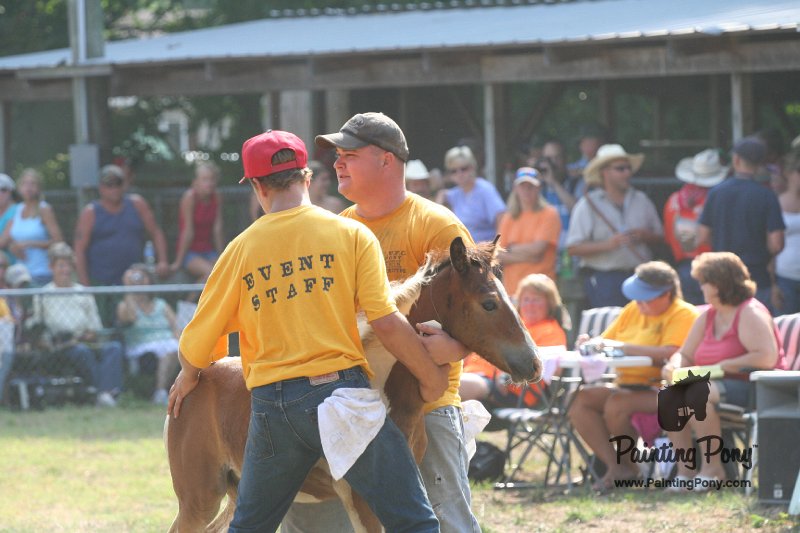 ponypenning_072810_406.JPG