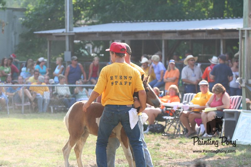 ponypenning_072810_407.JPG