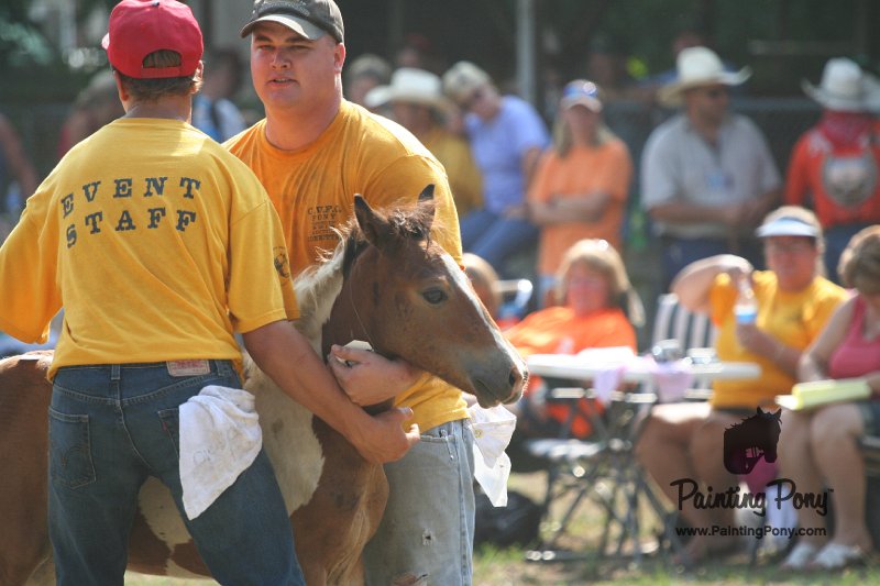 ponypenning_072810_408.JPG