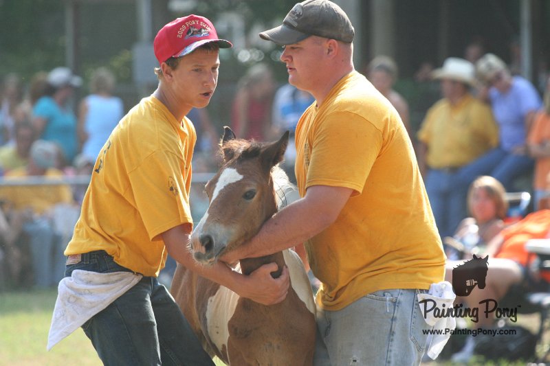ponypenning_072810_409.JPG