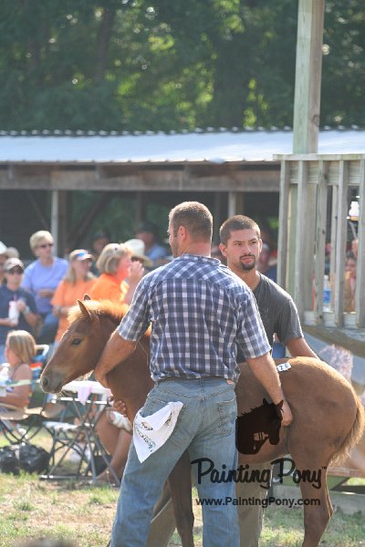 ponypenning_072810_410.JPG