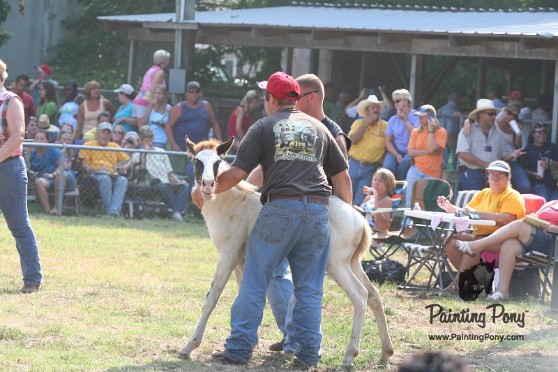 ponypenning_072810_413.JPG