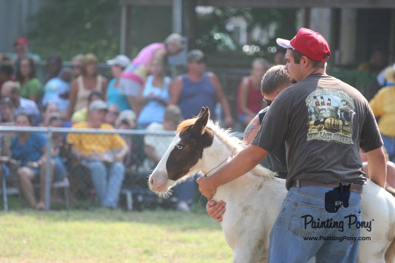 ponypenning_072810_414.JPG