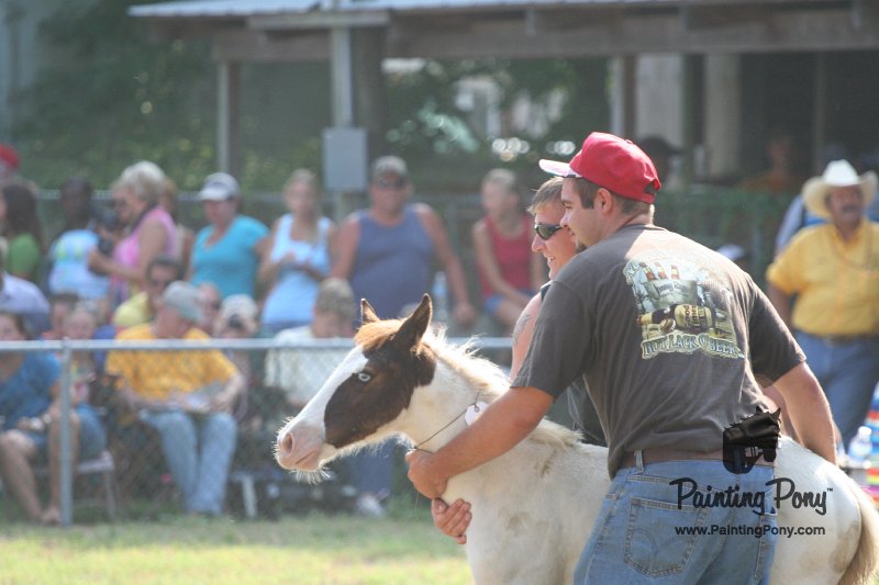 ponypenning_072810_415.JPG