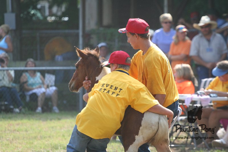 ponypenning_072810_423.JPG