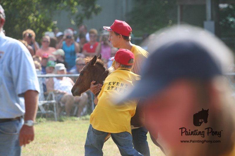 ponypenning_072810_424.JPG