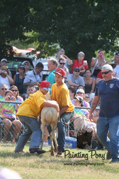 ponypenning_072810_429.JPG