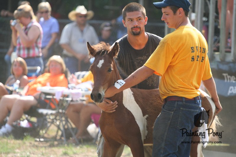 ponypenning_072810_436.JPG