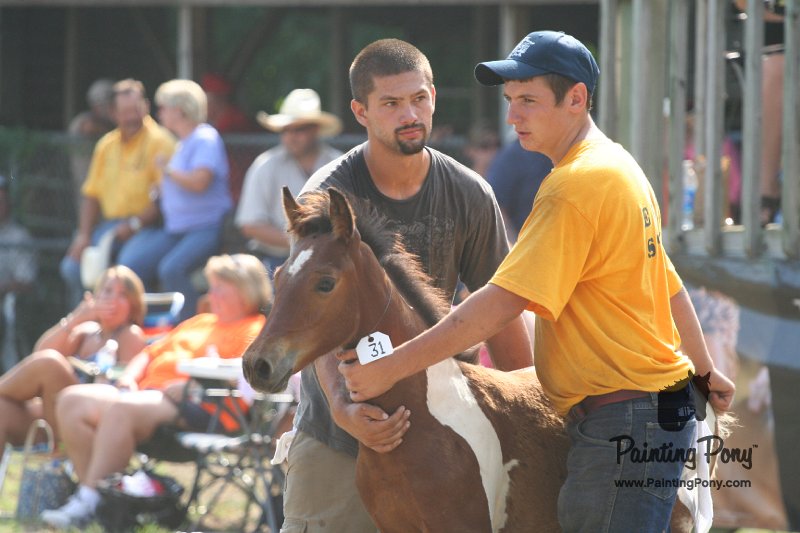 ponypenning_072810_439.JPG