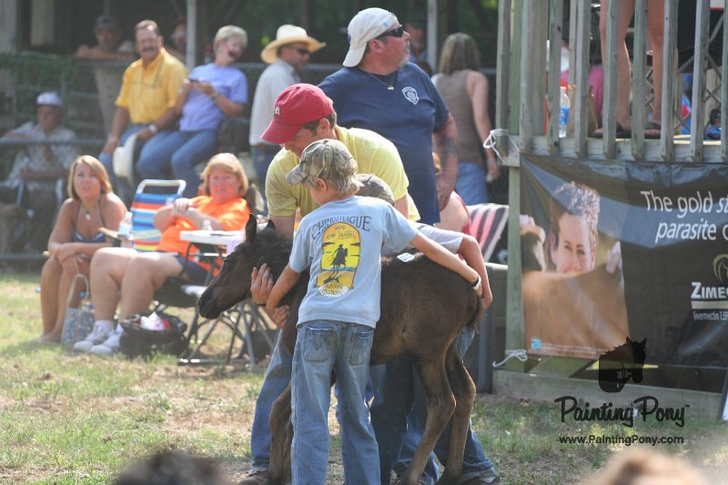 ponypenning_072810_444.JPG