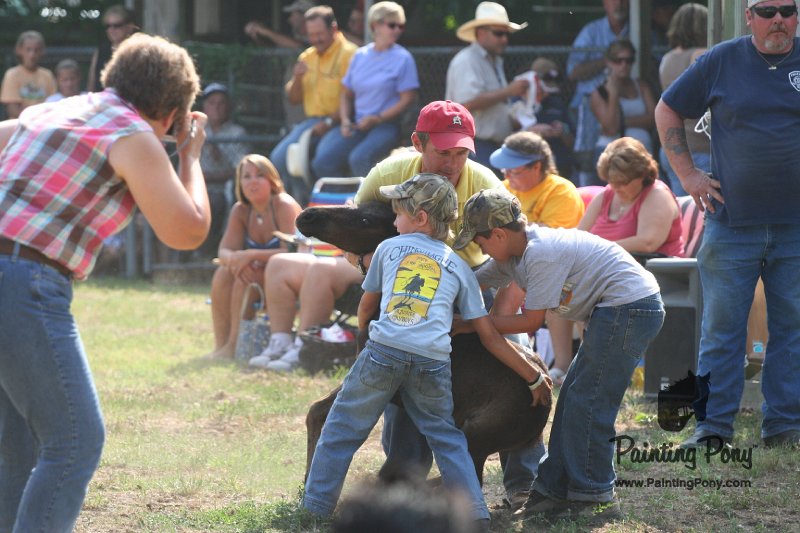 ponypenning_072810_445.JPG