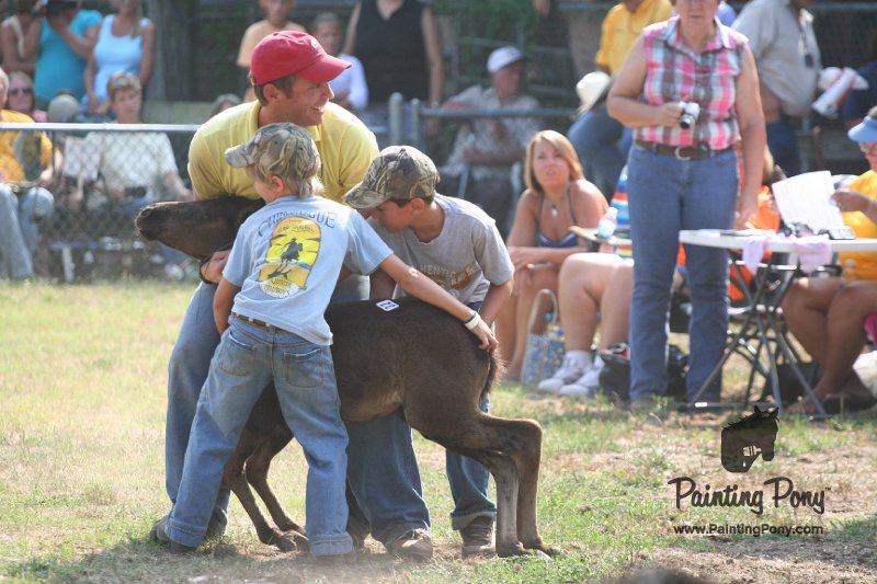 ponypenning_072810_446.JPG