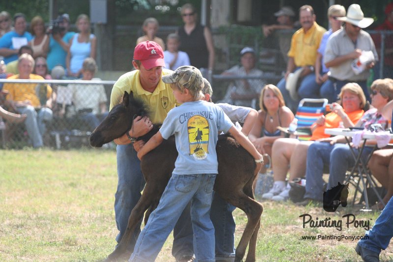 ponypenning_072810_448.JPG