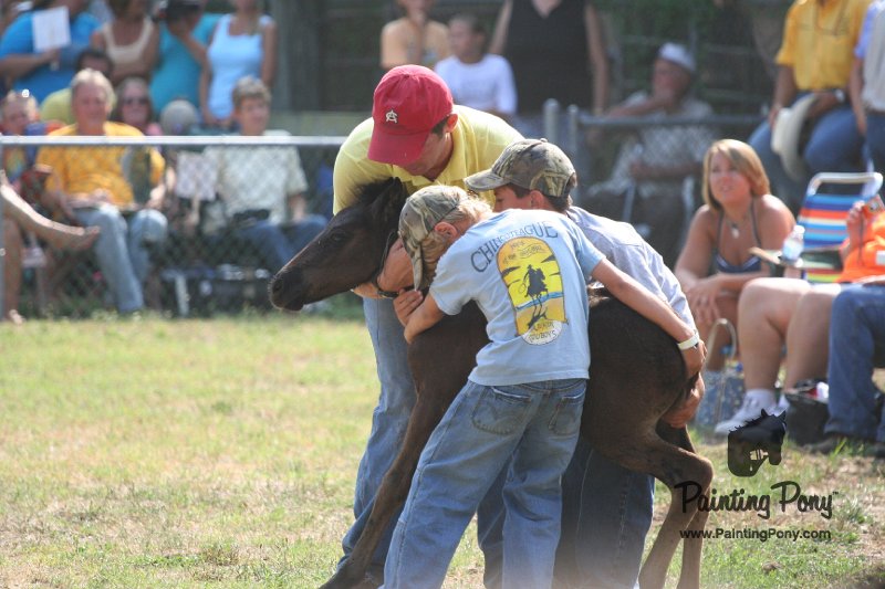ponypenning_072810_449.JPG
