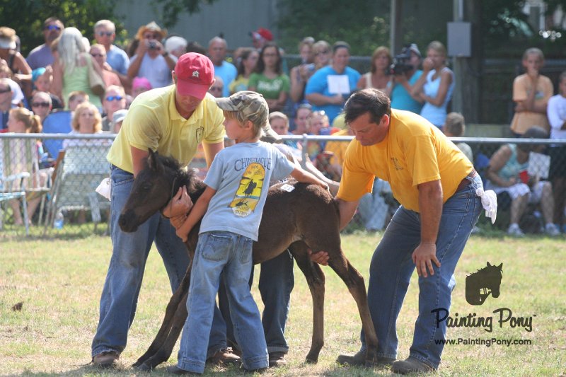 ponypenning_072810_450.JPG
