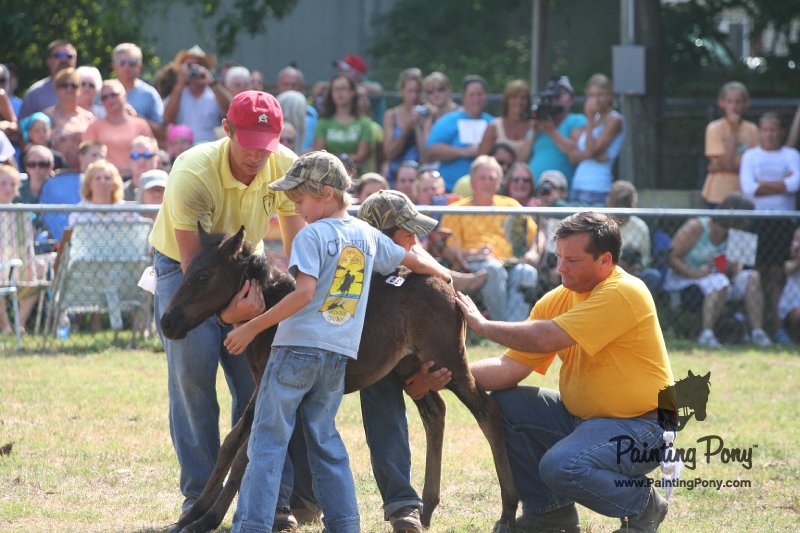 ponypenning_072810_451.JPG