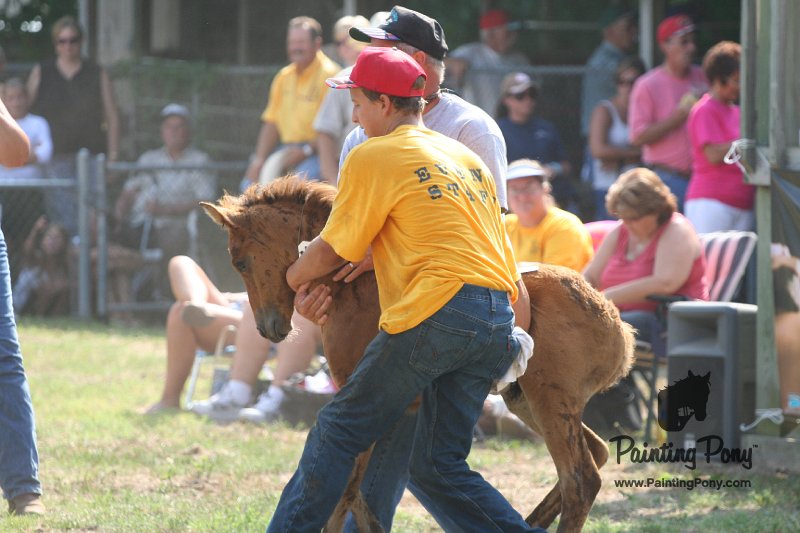 ponypenning_072810_452.JPG