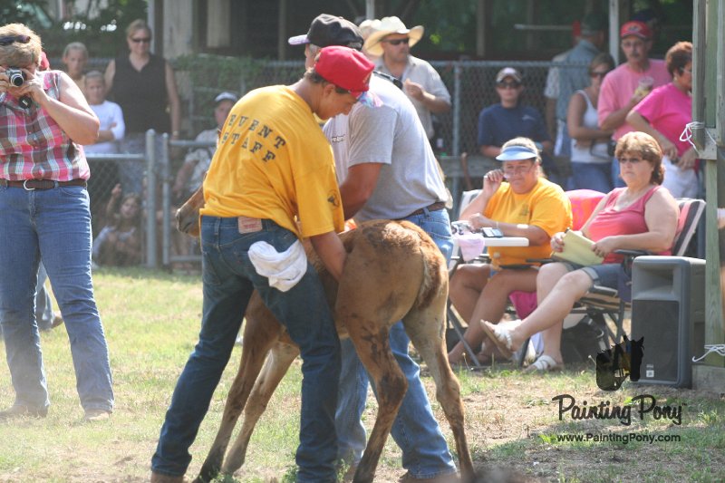 ponypenning_072810_453.JPG
