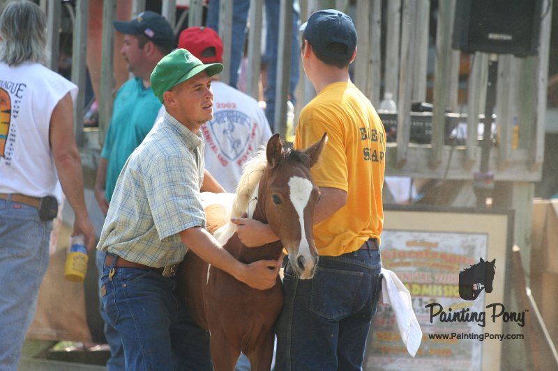 ponypenning_072810_455.JPG